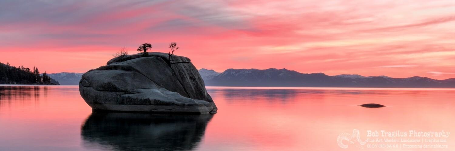 header profile